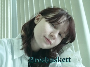 Breebaskett