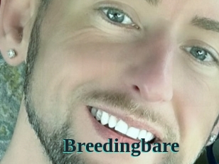 breedingbare Melody Melons