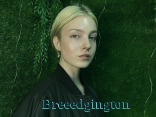 Breeedgington