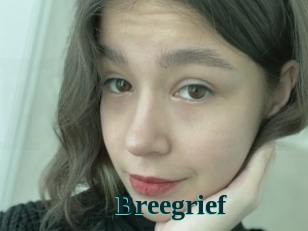 Breegrief