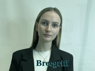 Breegriff