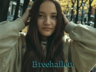 Breehallett