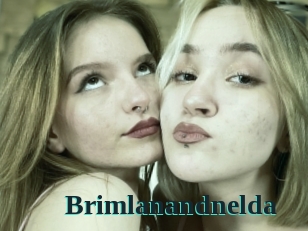Brimlanandnelda