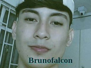 Brunofalcon