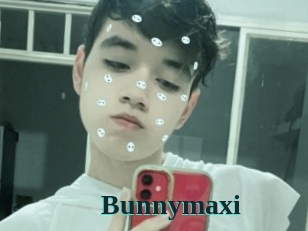 Bunnymaxi