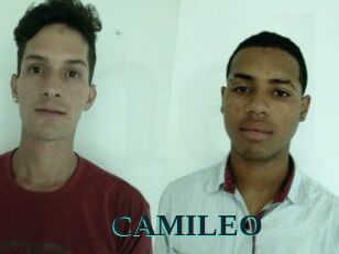 CAMI_LEO