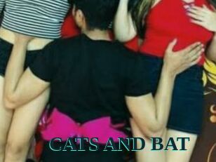 CATS_AND_BAT