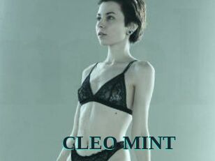 CLEO_MINT