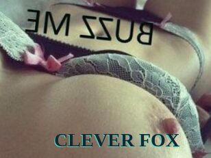 CLEVER_FOX
