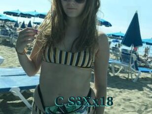C_S3Xx18