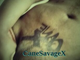 CaneSavageX Melody Melons