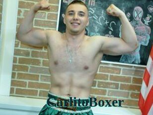 CarlitoBoxer