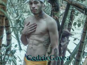 CedricGovea