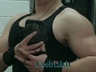Ceebizkit