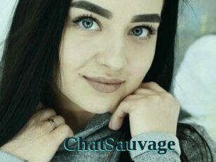 ChatSauvage Melody Melons