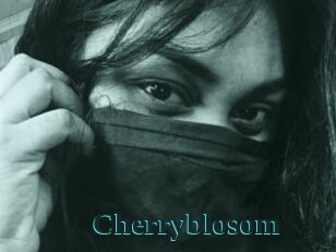 Cherryblosom