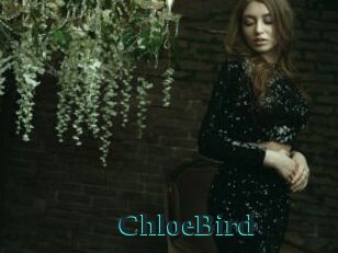 ChloeBird