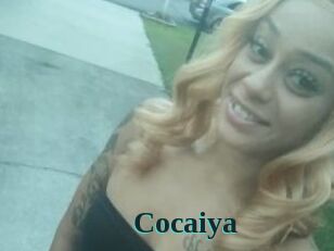 Cocaiya Melody Melons