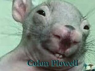 Colon_Plowell