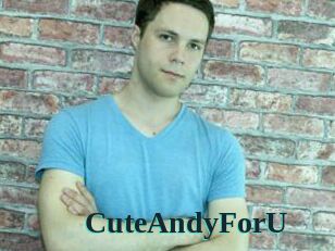 CuteAndyForU