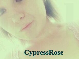 Cypress_Rose