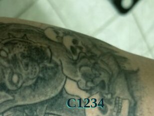 C1234