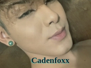 Cadenfoxx