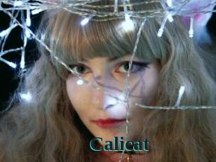 Calicat