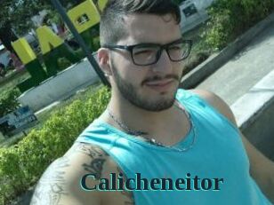 Calicheneitor