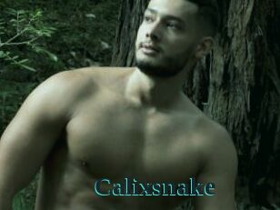 Calixsnake