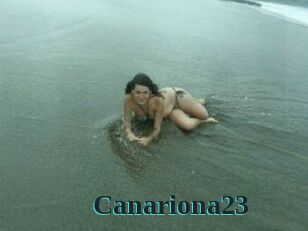 Canariona23