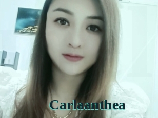 Carlaanthea