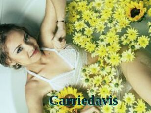 carriedavis Melody Melons