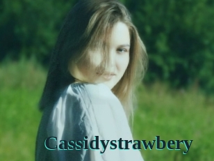 Cassidystrawbery