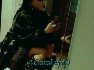 cataleya9 Melody Melons
