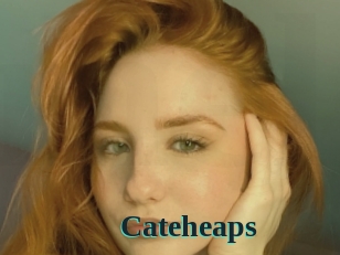 Cateheaps