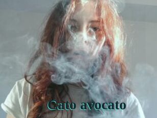 Cato_avocato