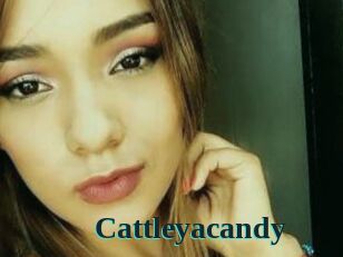 cattleyacandy Melody Melons