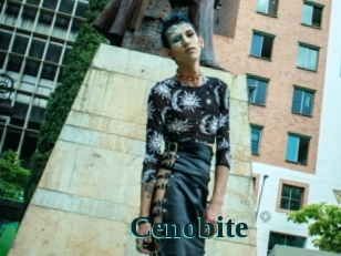 cenobite Melody Melons