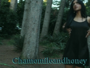 Chamomileandhoney