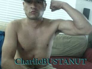 CharlieBUSTANUT
