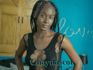 Chaynascot