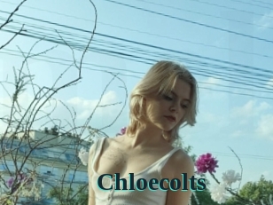 Chloecolts