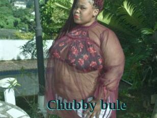 Chubby_bule