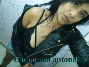 Cinnamon_antonella