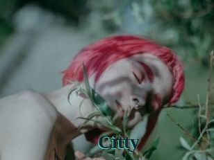 Citty