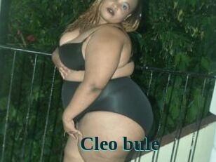 Cleo_bule