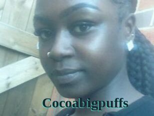 Cocoabigpuffs