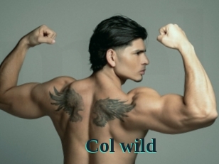 col_wild Melody Melons