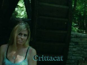 Crittacat